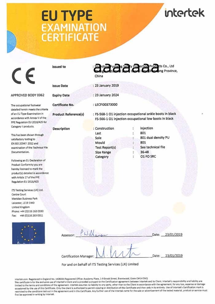 CE-O1