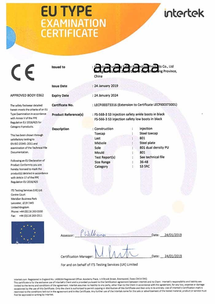 CE-S3